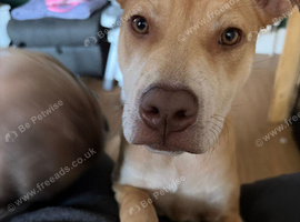 Female girl DOB 27/5/26