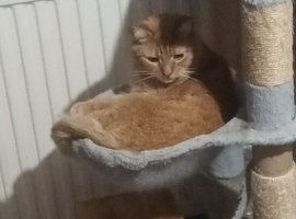 Need to rehome