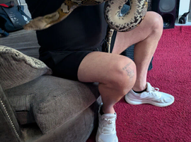 Female retic