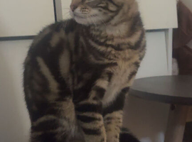 Rehome