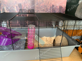 Small Cage 57 x 37cm
