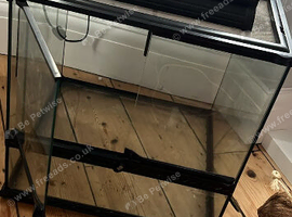 Gecko tank/ beginner setup