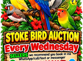 Stoke Bird Auction