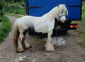 Ride and drive pony