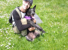 Dog Walker/Sitter