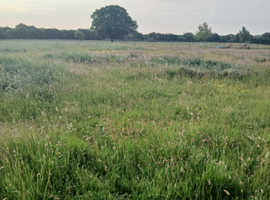 Hay For Sale last years