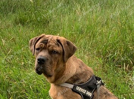 Milo