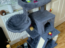Cat / Kitten play / sleeping stand   Excellent condition loads of accessories