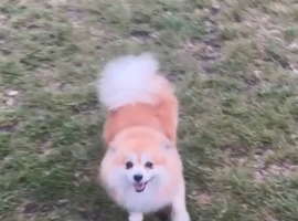 Beautiful 2 Year Old Girl