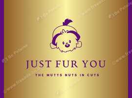 Just Fur You Dog Grooming Groomer