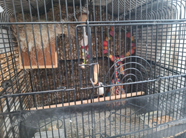 Single mail with the cage