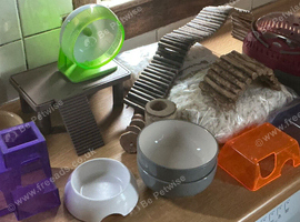 Various hamster accessories.