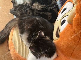 Freddie & Flo