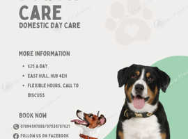 Doodle's Dog Day Care