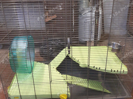 Cage for sale
