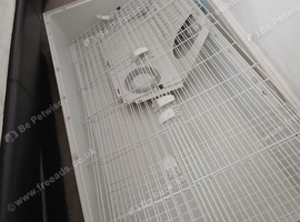 2 guinea pig cages