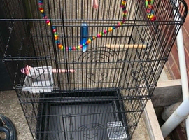 budgie cages with accesseries