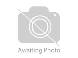 Cockatoo Glasgow
