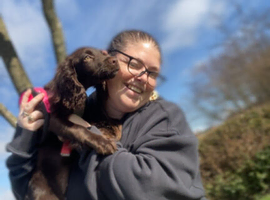 Dog walking and dog sitting