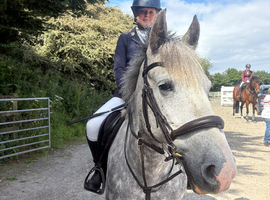 Pony/horse on loan to move yards to Carbis Bay