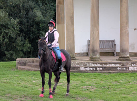 Stunning ROR eligible - world is her oyster!