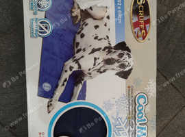 Cool mat
