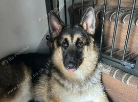 Rehome