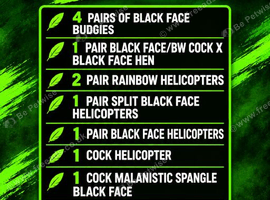 List of birds for sale message for more information