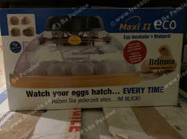 Brinsea incubator maxi ii eco