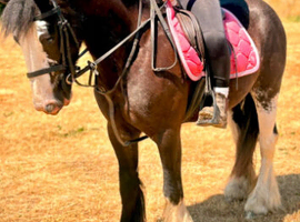 ** 13.2h Mother/ daughter share**