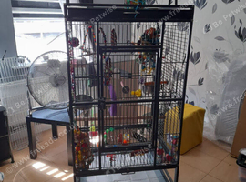Large parrot cage with playstand + accessories.  &pound;50