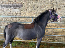Clipping services available