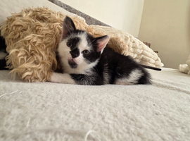 2lovely babies