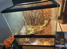 Exo terra tank