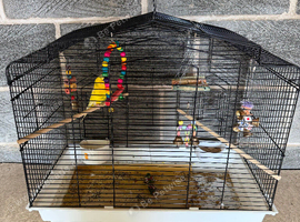 Budgies and cage