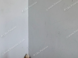 German Shepherd Cross