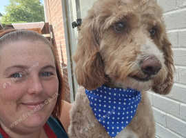 Posh Pooches Dog Grooming and services.