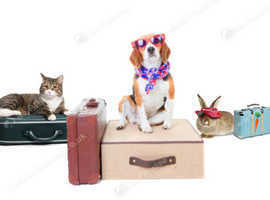 Pet holiday boarding / sitting or home cover