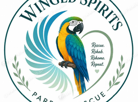 Winged Spirit Parrot Rescue
