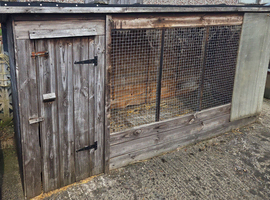 Wooden Dog Kennel