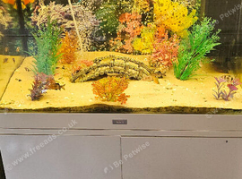 Tank and stand comes with tropical fish
