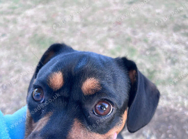 Matilda