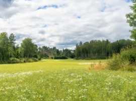Looking for 1-2 acre field/land to rent