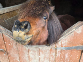 For loan upto 3 days a week