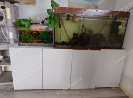 Full setup 400 litre tank plus fish
