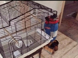 Medium-sized cage for all types of small and medium-sized birds