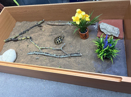 Torotise Table for Tortoise