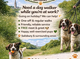 Dog walker Salisbury