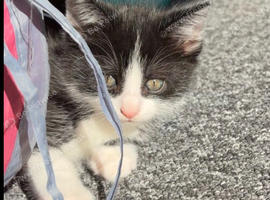Beautiful baby boy