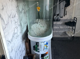 Bullet shaped Fish tank
